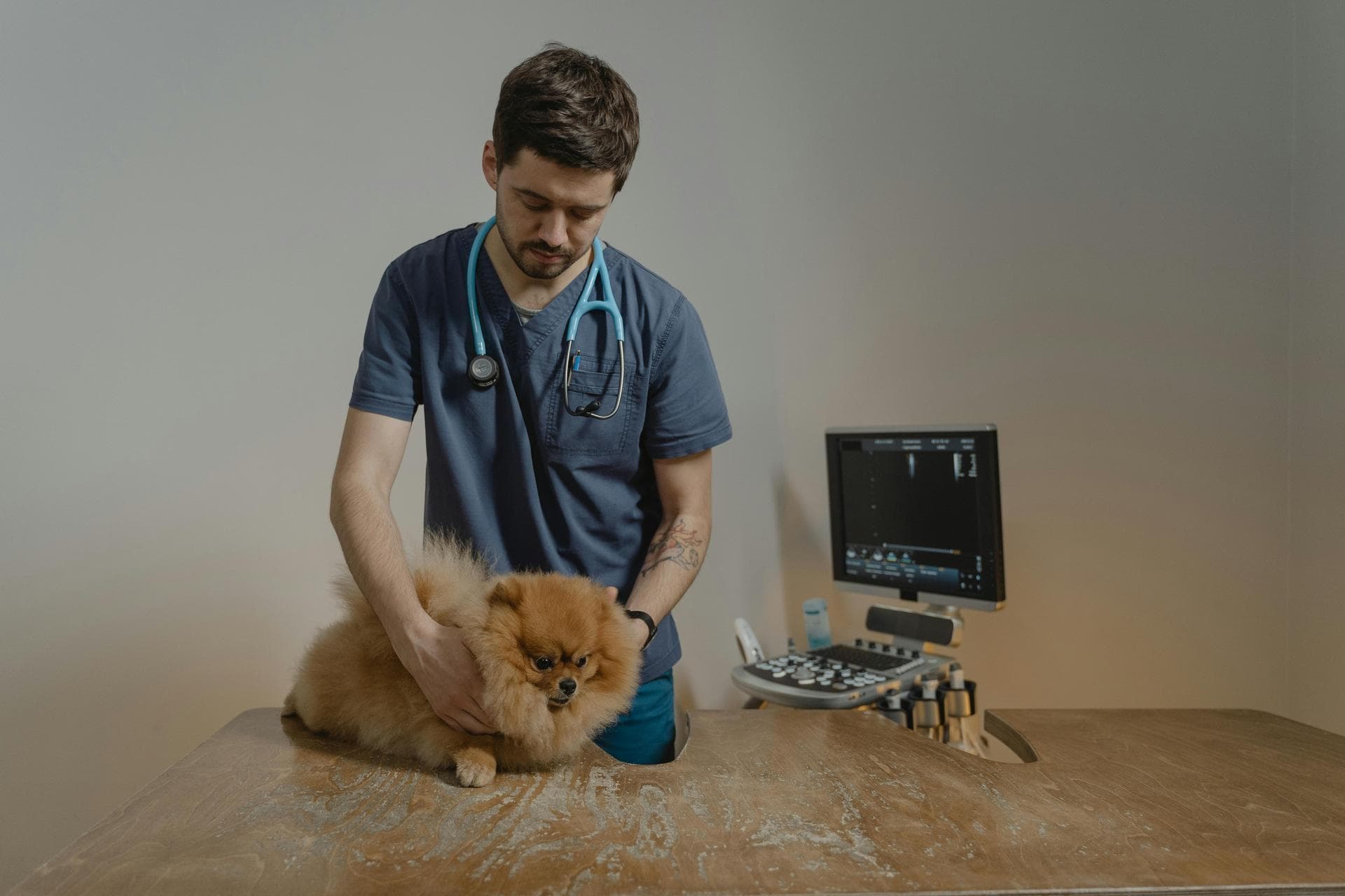 Best Vets in Arundel